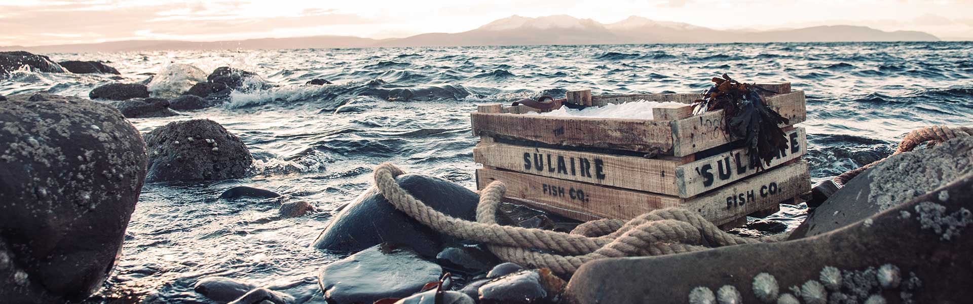 sulaire_banner_1920x600