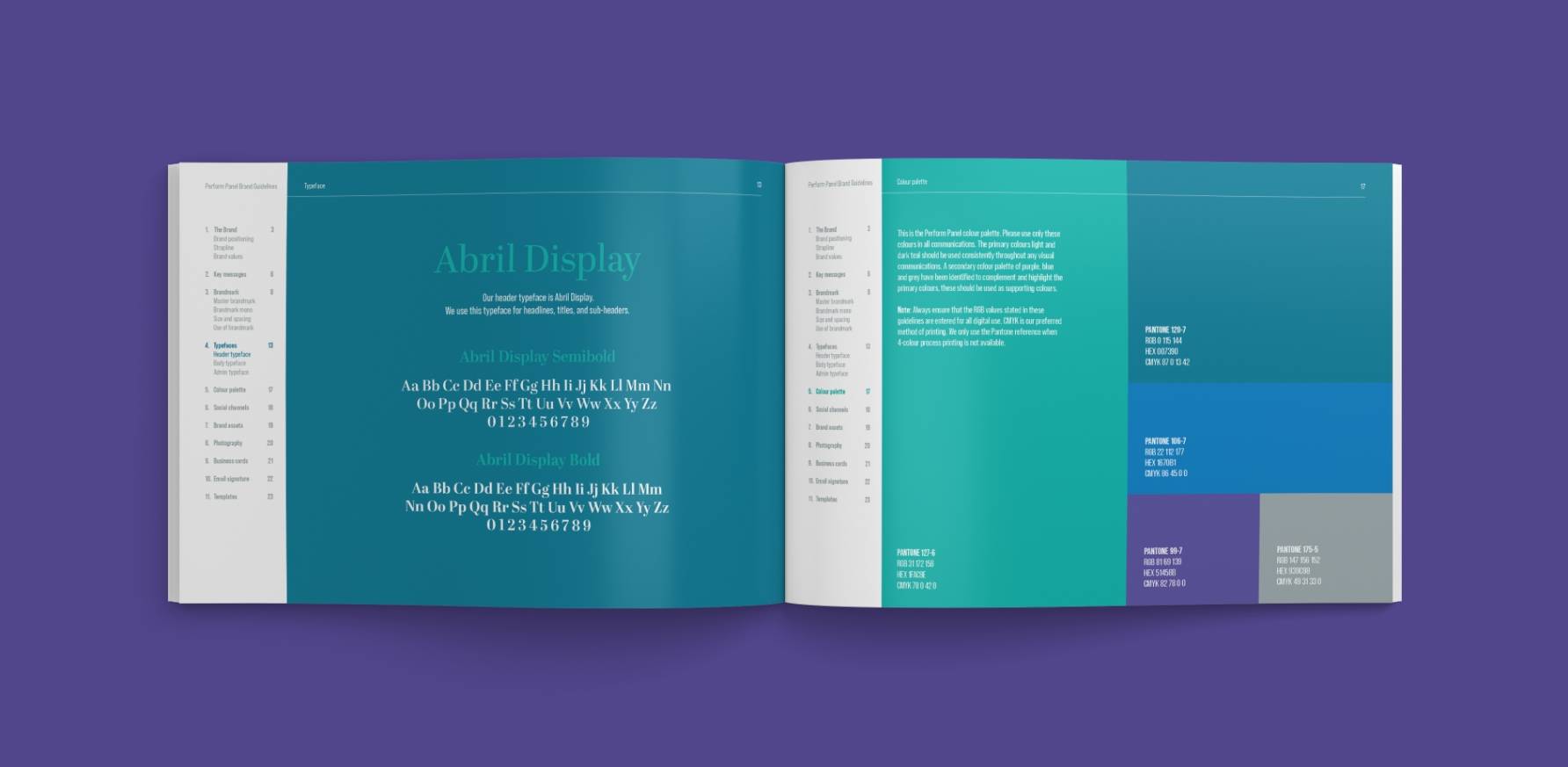 Perform-Panel_Brand-Guidelines-Block