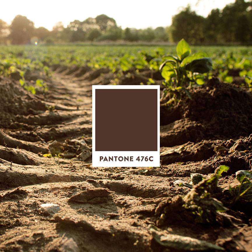 gg_pantone